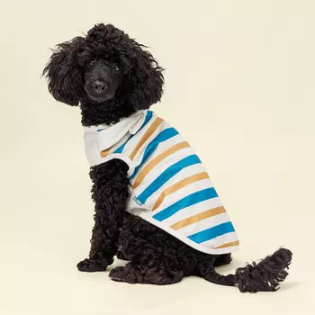 Rurri Майка для собак и кошек Аквамарин, 2XL, песочно-синяя в полоску (унисекс)