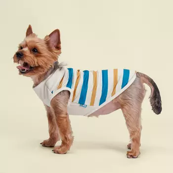 RURRI Майка для собак и кошек Аквамарин, S, песочно-синяя в полоску (унисекс)