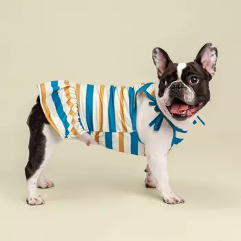 RURRI Майка-платье для собак и кошек Аквамарин, L, песочно-синее в полоску