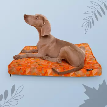 Rurri Матрас для кошек и собак Bright Сity, 71х50х9 см