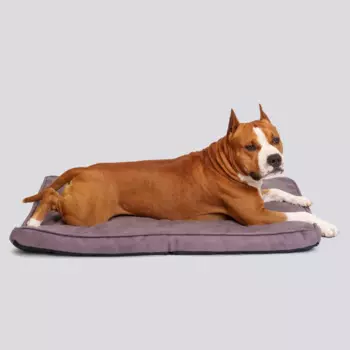 Rurri Матрас для собак и кошек, 100х70х7 см, фиолетовый