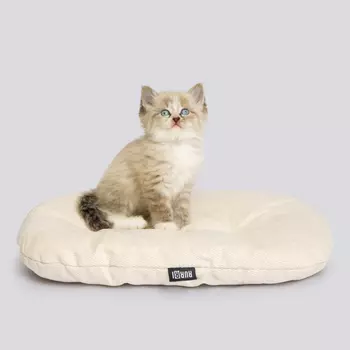 RURRI Матрас овальный для кошек и собак мелких пород, 43х30х6 см, молочный