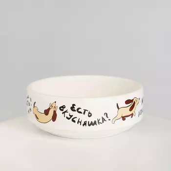 RURRI Миска фарфоровая для кошек и собак Вкусняшки, 350 мл, белый