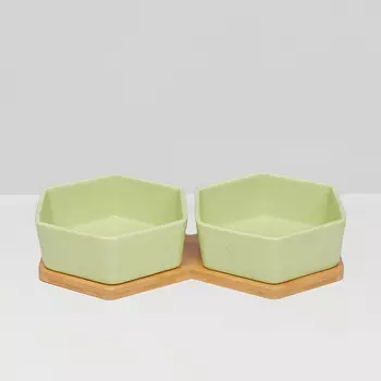 RURRI Миски керамические шестиугольные на подставке для собак средних и крупных пород, 2х800 мл, зеленые