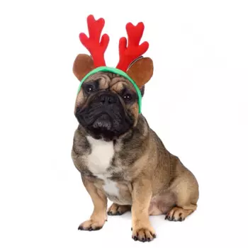 RURRI Ободок безразмерный для собак и кошек Рога оленьи малые красный (унисекс)