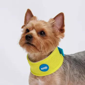 RURRI Ошейник охлаждающий для собак, обхват шеи 32 см, ширина 6 см, салатовый