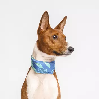 RURRI Ошейник охлаждающий синий 45,5*5,2см