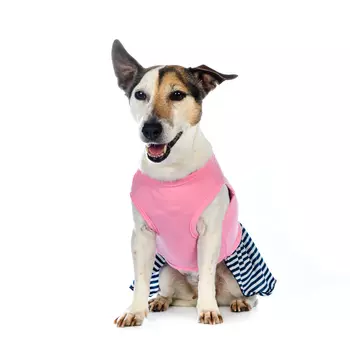 RURRI Платье для собак Space-Travel L розовый (девочка)