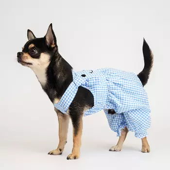 RURRI Платье в клетку для собак, M, синее