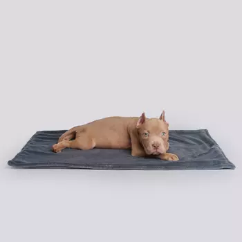 RURRI Плед для кошек и собак, 70х50 см