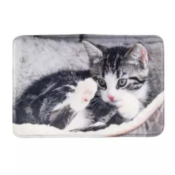 Rurri Подстилка Котенок для кошек и собак мелких и средних пород, 60х40 см, цвет в ассортименте