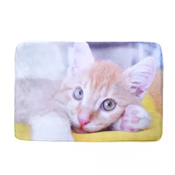 Rurri Подстилка Кошечка для кошек и собак мелких и средних пород, 60х40 см, цвет в ассортименте