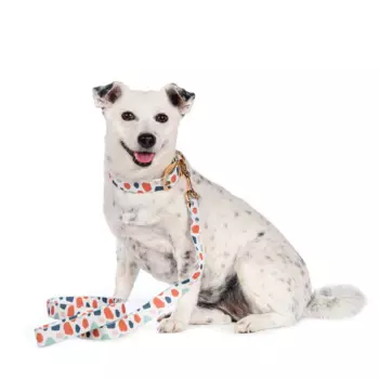 Rurri Поводок белый с пятнами 2,5см 120см