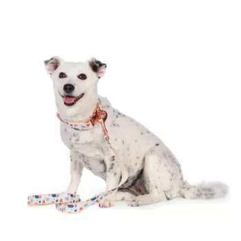 RURRI Поводок белый с пятнами 2,5см 122см