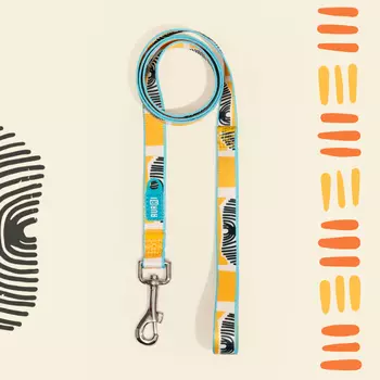 RURRI Поводок нейлоновый для собак Саванна, длина 120 см, ширина 2 см, оранжевый