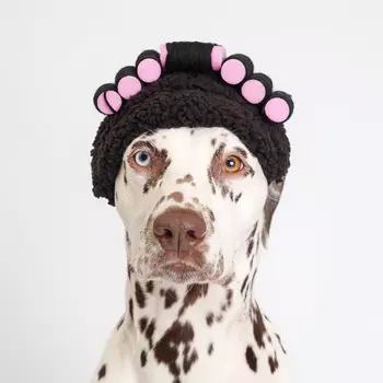 RURRI Повязка бигуди для кошек и собак, S, розовая