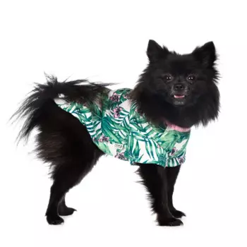 Rurri Рубашка для собак с листьями зеленая L