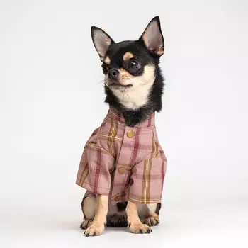 RURRI Рубашка с бантом для собак, S, красная