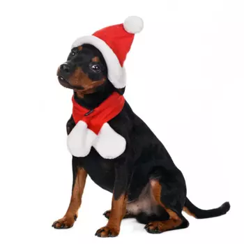 Rurri Шапка и шарф светящиеся для собак Led безразмерные красный (унисекс)
