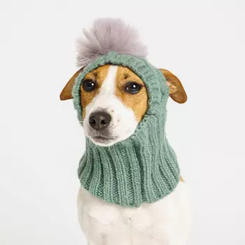 RURRI Шапка с помпоном для собак, S, зеленый