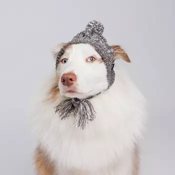 RURRI Шапка с завязками для собак, обхват головы 29 см, высота шапки 14 см, серая