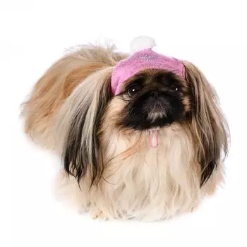 Rurri Шапочка зимняя универсальная для собак S розовый (унисекс)