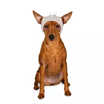 Rurri Шапочка зимняя универсальная для собак S капучино (унисекс)