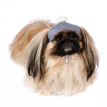 RURRI шапочка зимняя универсальная для собак, S, серый шелк (унисекс)