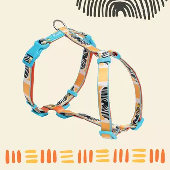 RURRI Шлейка для собак Vario Саванна, обхват груди 48-70 см, ширина ремешка 2 см, оранжевый