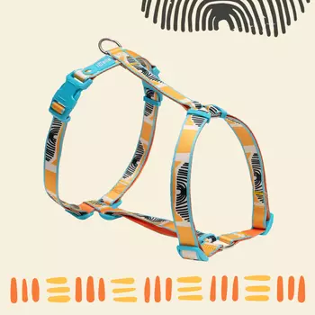 RURRI Шлейка для собак Vario Саванна, обхват груди 64-100 см, ширина ремешка 2,5 см, оранжевый