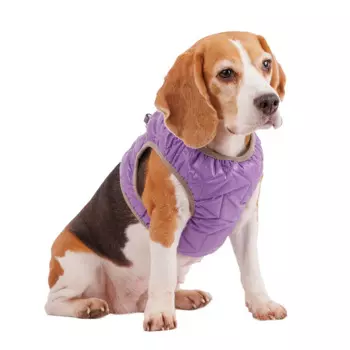 RURRI Шлейка со светоотражающей лентой для собак, 2XL, обхват шеи 43-45 см, обхват груди 46-50 см, фиолетовая