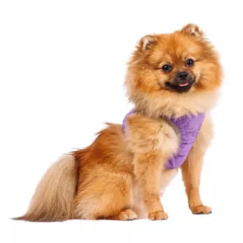 Rurri Шлейка фиолетовая со светоотражающей лентой M