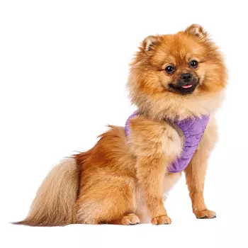 RURRI Шлейка фиолетовая со светоотражающей лентой XS