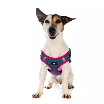 Rurri Шлейка M для собак сетчатая голубая