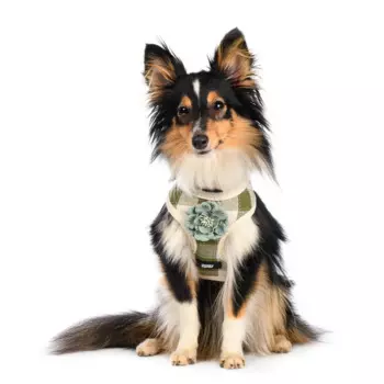 Rurri Шлейка M для собак зеленая с цветочком
