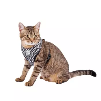 Rurri Шлейка Relax Time черная ромб XS