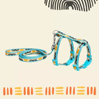 RURRI Шлейка с поводком для кошек Саванна, обхват груди 37 см, длина поводка 120 см, ширина ремешка 1 см, оранжевый