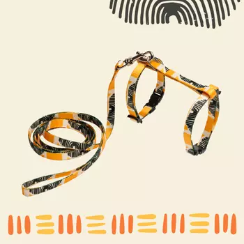 RURRI Шлейка с поводком для кошек Саванна, обхват груди 32 см, длина поводка 120 см, ширина ремешка 0,8 см, оранжевый