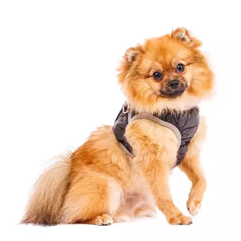 Rurri Шлейка со светоотражающей лентой S черная