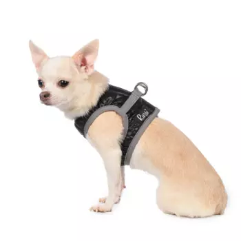 Rurri Шлейка со светоотражающей лентой для собак, XS, обхват груди 24-27 см, обхват шеи 18-20 см, черная