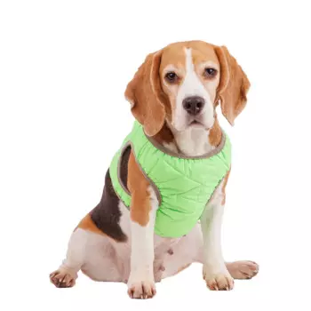 RURRI Шлейка зеленая со светоотражающей лентой 2XL