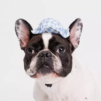 RURRI Шляпка для собак и кошек, 11х4 см, голубая в клеточку