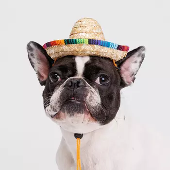 RURRI Шляпка мексиканская для собак и кошек, S, 16х8х7 см