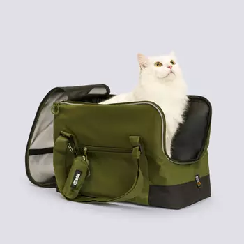 RURRI Сумка-переноска для кошек и собак мелких пород, 48х21х29,5 см, зеленый