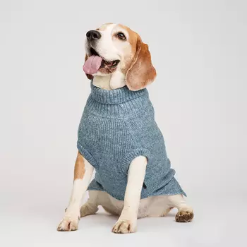 RURRI Свитер для кошек и собак, L, голубой