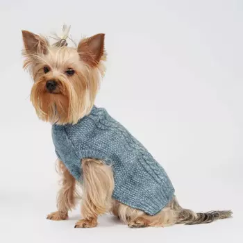 RURRI Свитер для кошек и собак, S, голубой