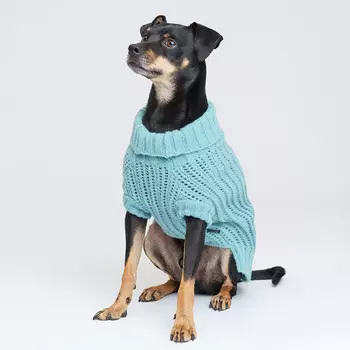 RURRI Свитер для кошек и собак, XL, голубой