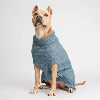 RURRI Свитер для собак, 3XL, голубой