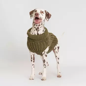 RURRI Свитер для собак, 3XL, зеленый