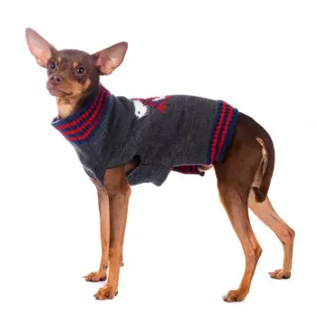 Rurri Свитер для собак 2XL серый (унисекс)